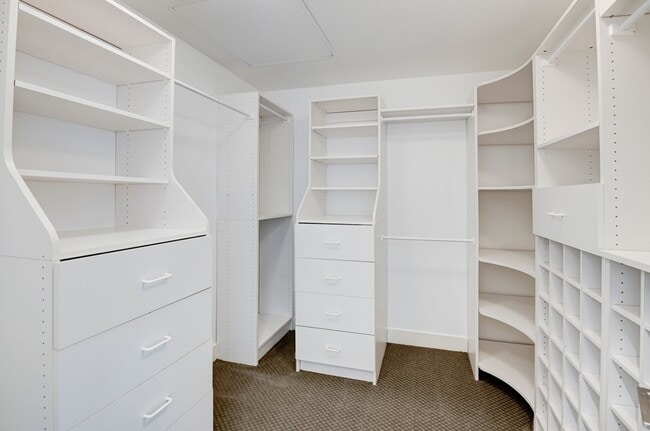 Building Photo - Amazing LARGE home in Ladera Ranch!