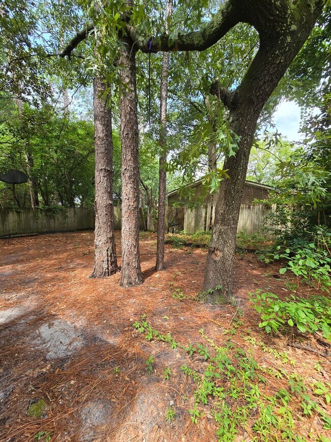 Building Photo - Located in desirable College Acres/Hillsdale area of Wilmington