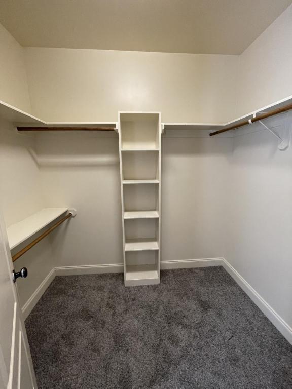 Building Photo - 1570 Gray Hill Ct