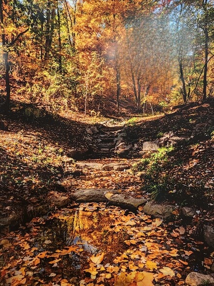 Property in the fall - 5901 Mt Eagle Dr