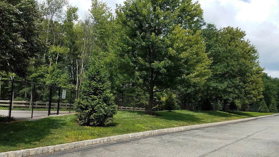 Building Photo - 305 Dresher Woods Dr