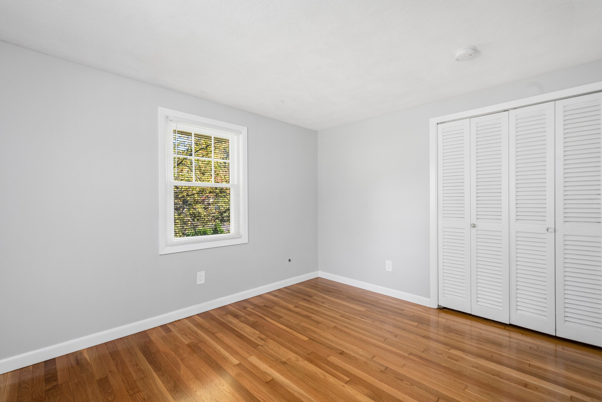 Building Photo - 40 W Wrentham Rd