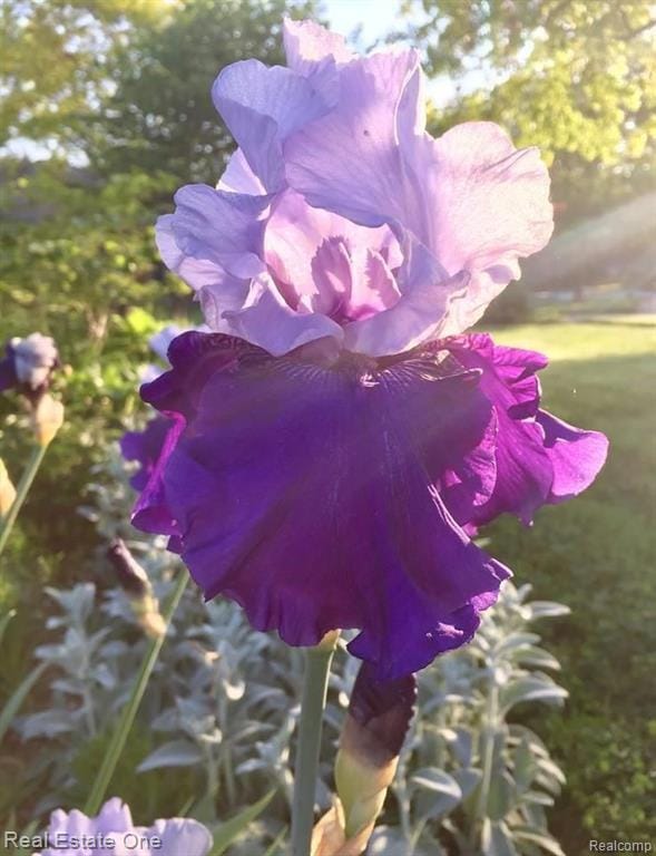 Building Photo - 5837 Folkstone Dr