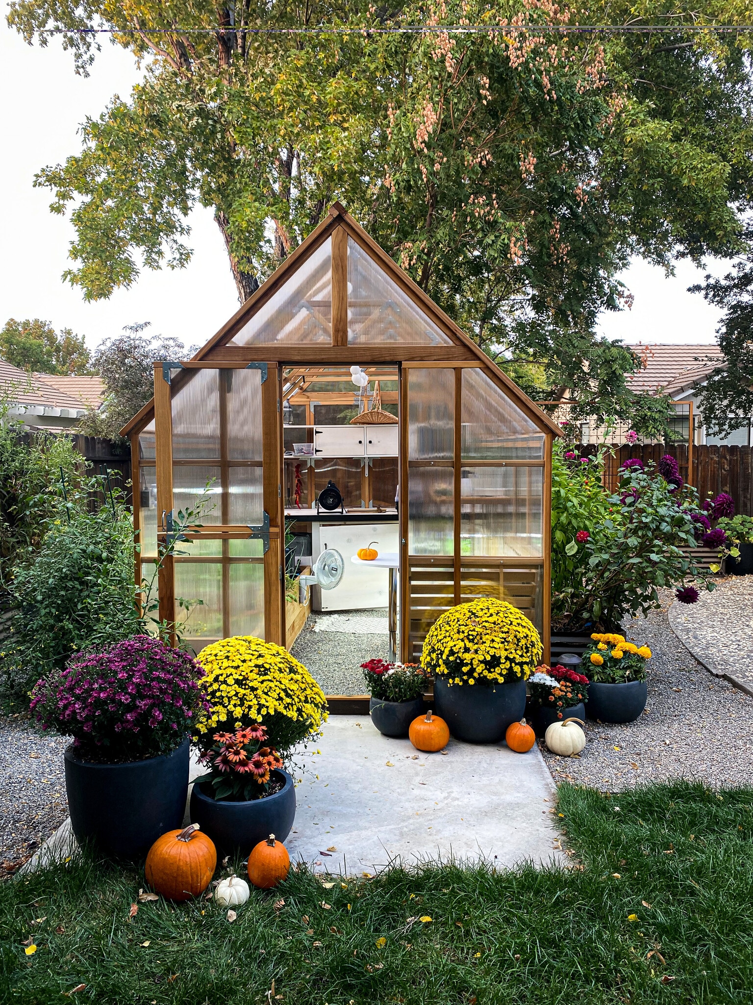 Building Photo - 1557 Bramble Ct