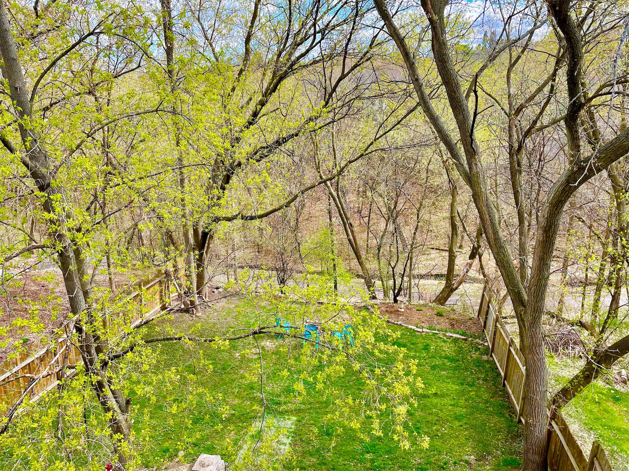 Balcony View - 401 Laurel St W