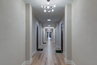 Building Photo - Beautiful Studio Apartment