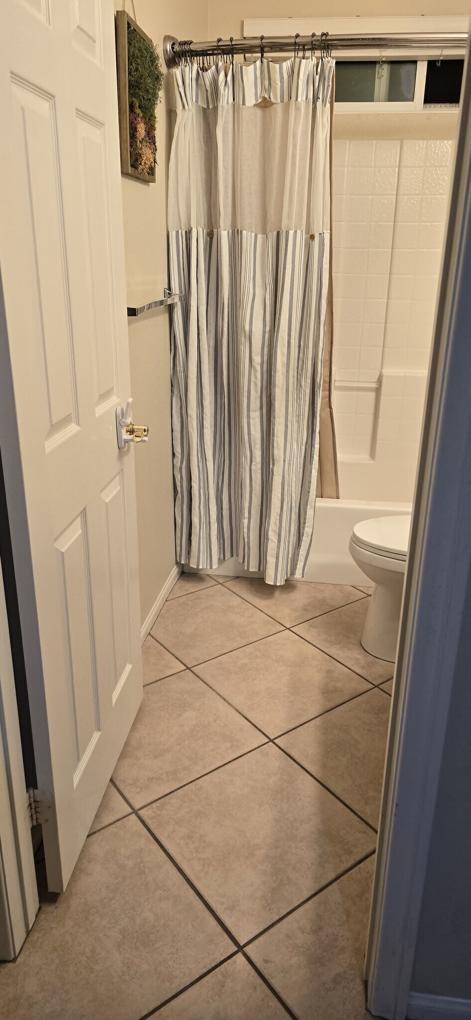 Building Photo - 395 Plaza Calimar