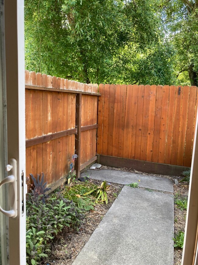 Backyard - 3898 Rohnerville Rd