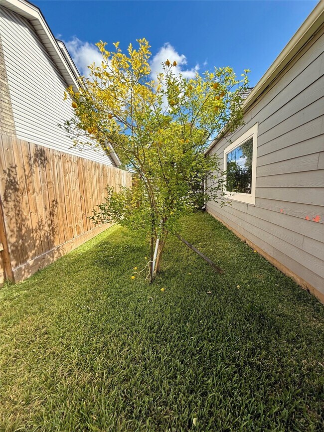 Building Photo - 3222 Freshmeadows Dr