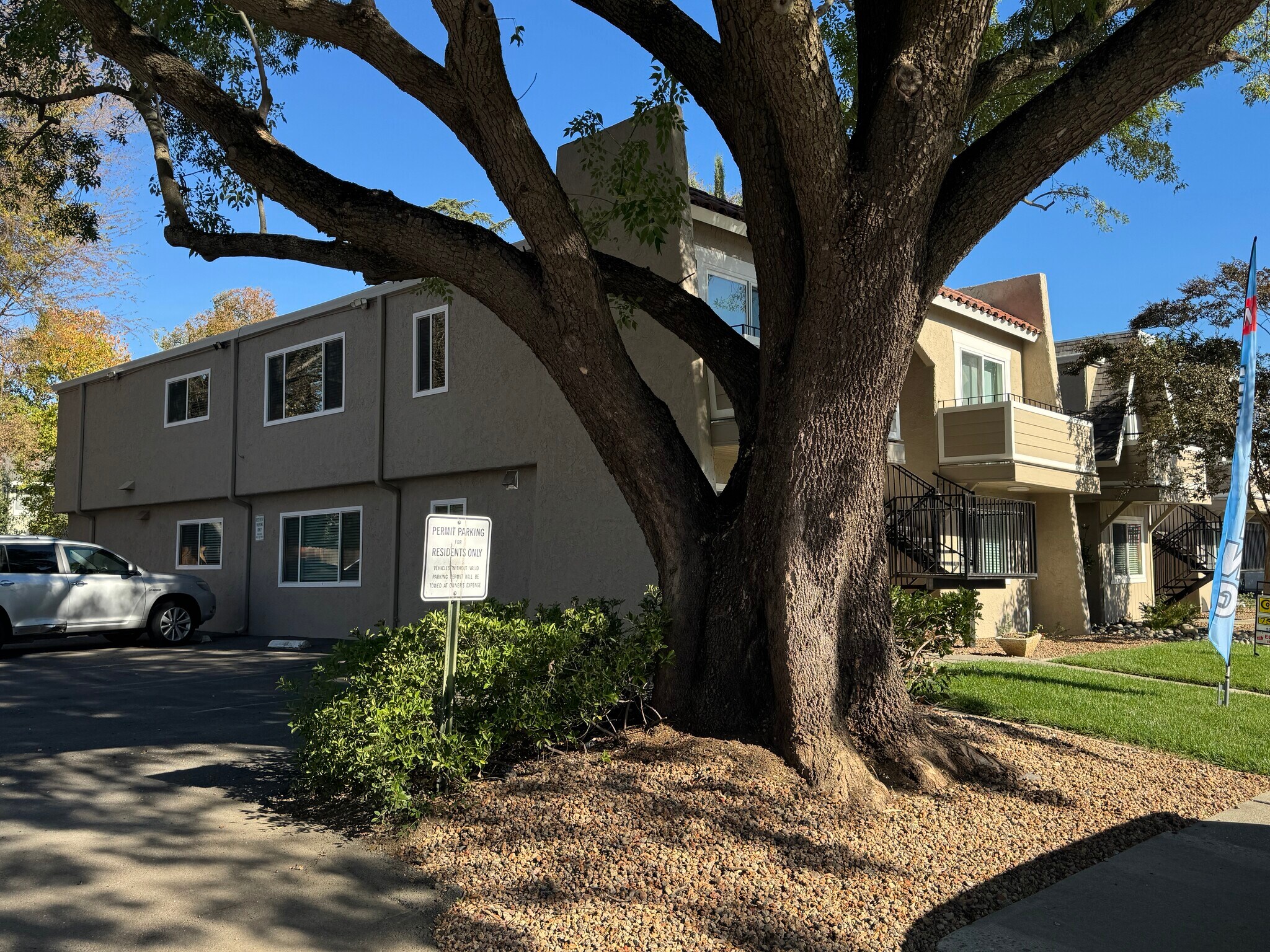 Parking lot - 4903 Cowell Blvd