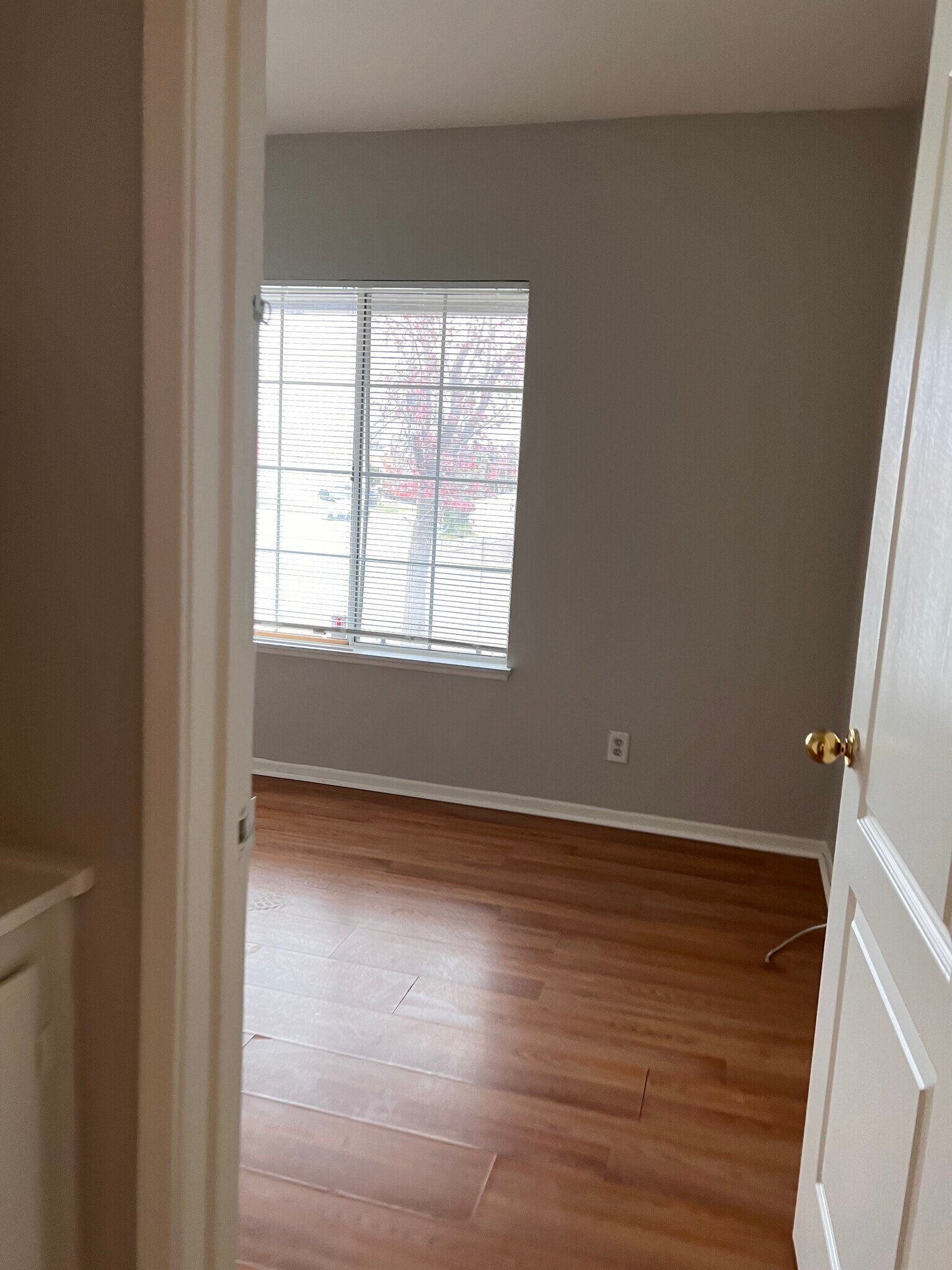 Building Photo - 1188 Don Carlos Ct