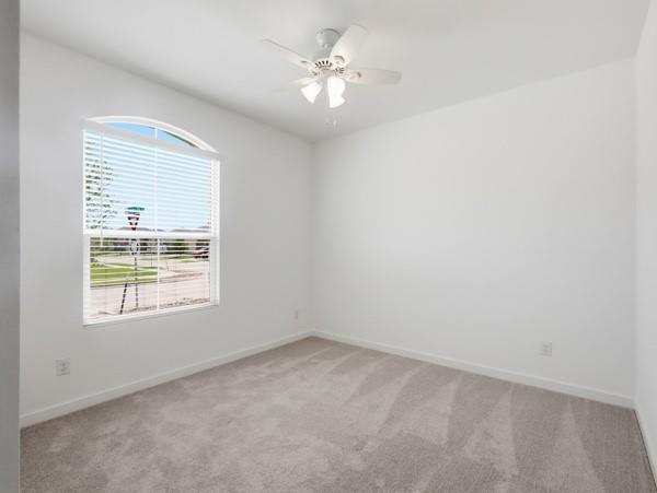 Building Photo - 7001 Camphor Ct