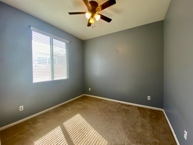 Building Photo - Single Story Blue Horizon Rental Home