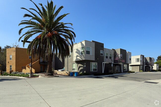 Building Photo - Tesoro Grove Apartments