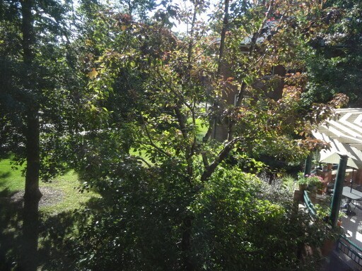Building Photo - Spacious 2-Story 1-Bedroom/1.5-Bathroom Lo...