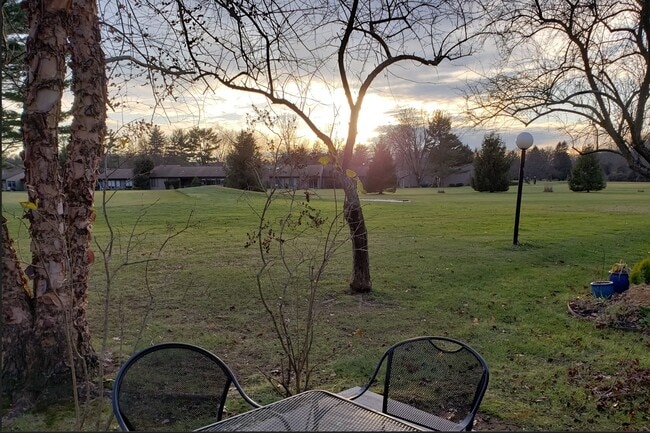 View from Patio - 3 Andover Ct