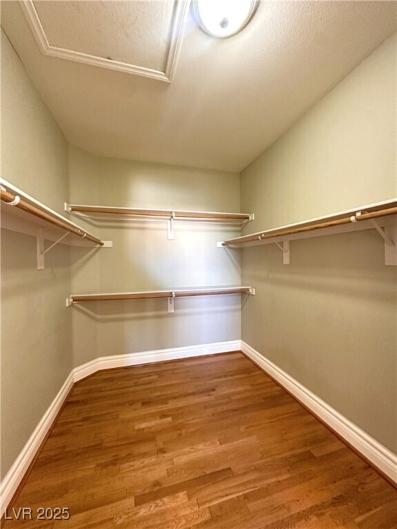 Building Photo - 271 Tayman Park Ave