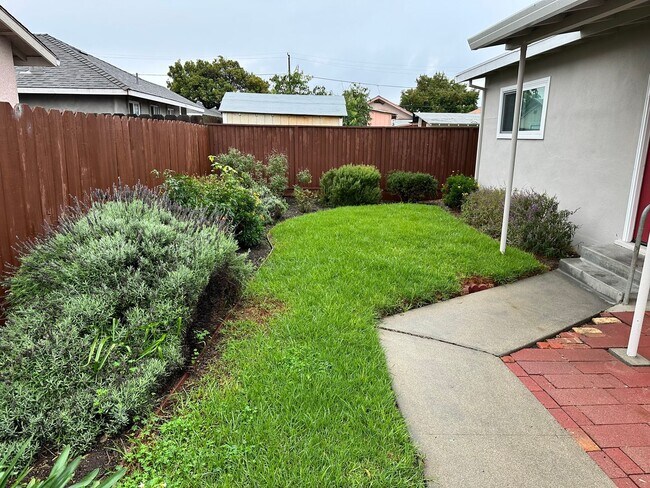 Building Photo - buena44