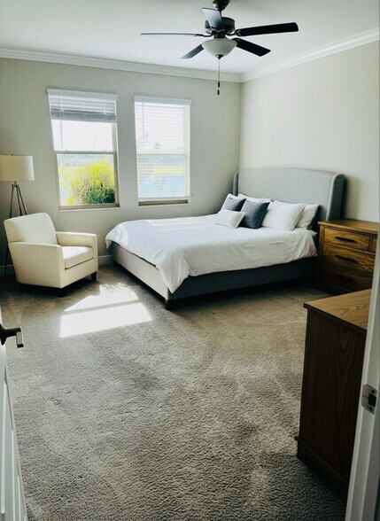 Building Photo - 4208 Cadence Loop