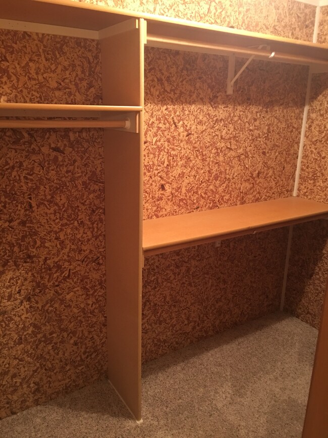 Cedar walk-in closet in lower level - 2804 Porter Ridge Rd