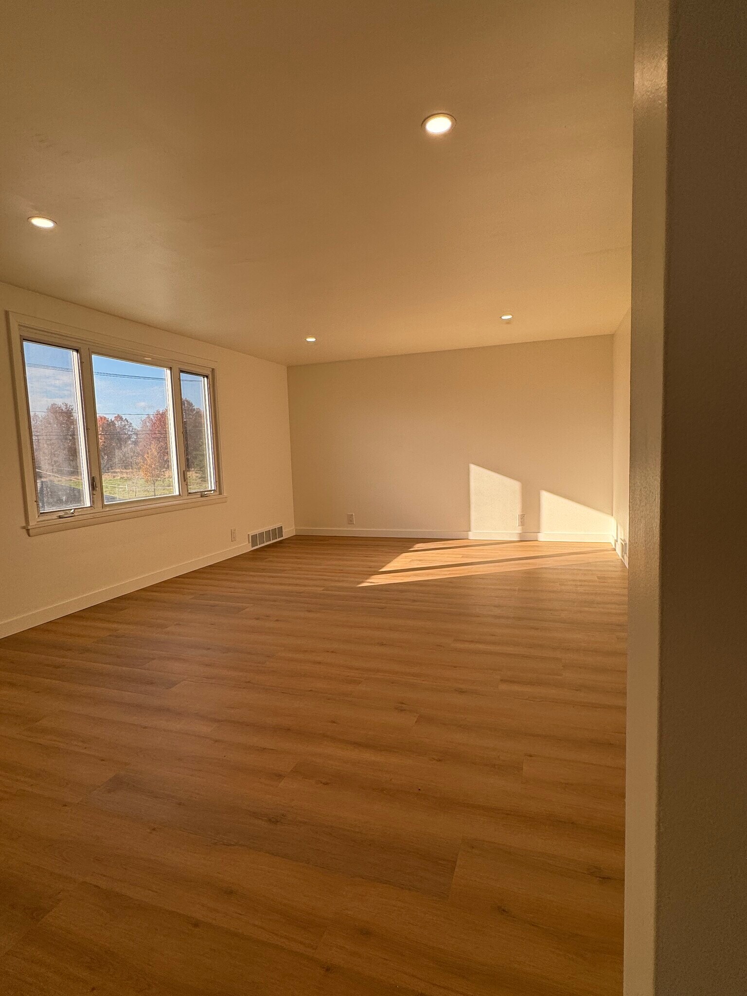 Livingroom - 249 Dunlop Ave