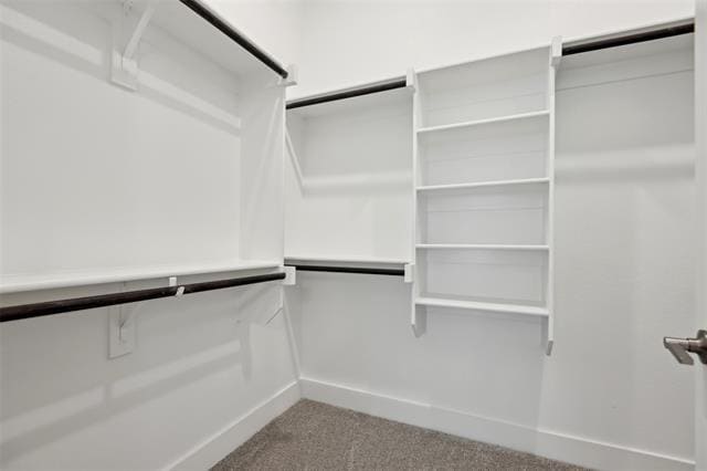 Building Photo - 3153 Winter Rose Way