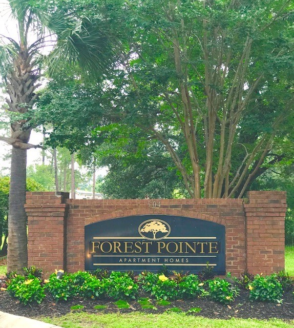 Primary Photo - Forest Pointe Apts