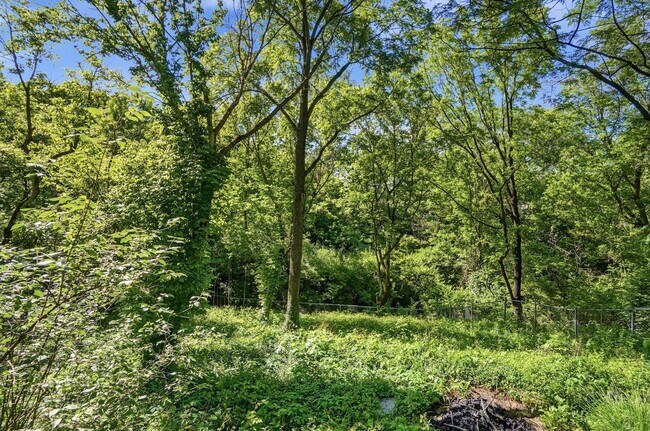 Building Photo - Three Bedroom Home with Great Outdoor Entertainment Space!