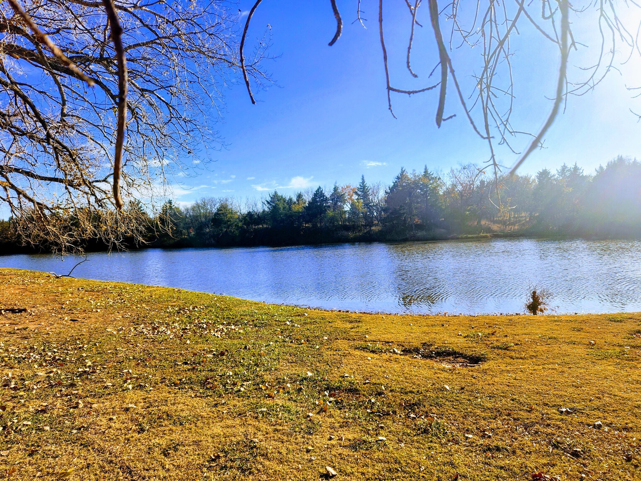 Backyard - 4716 Hemlock Cir