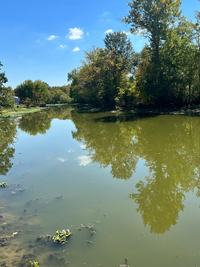 Building Photo - 11606 Vistawood St