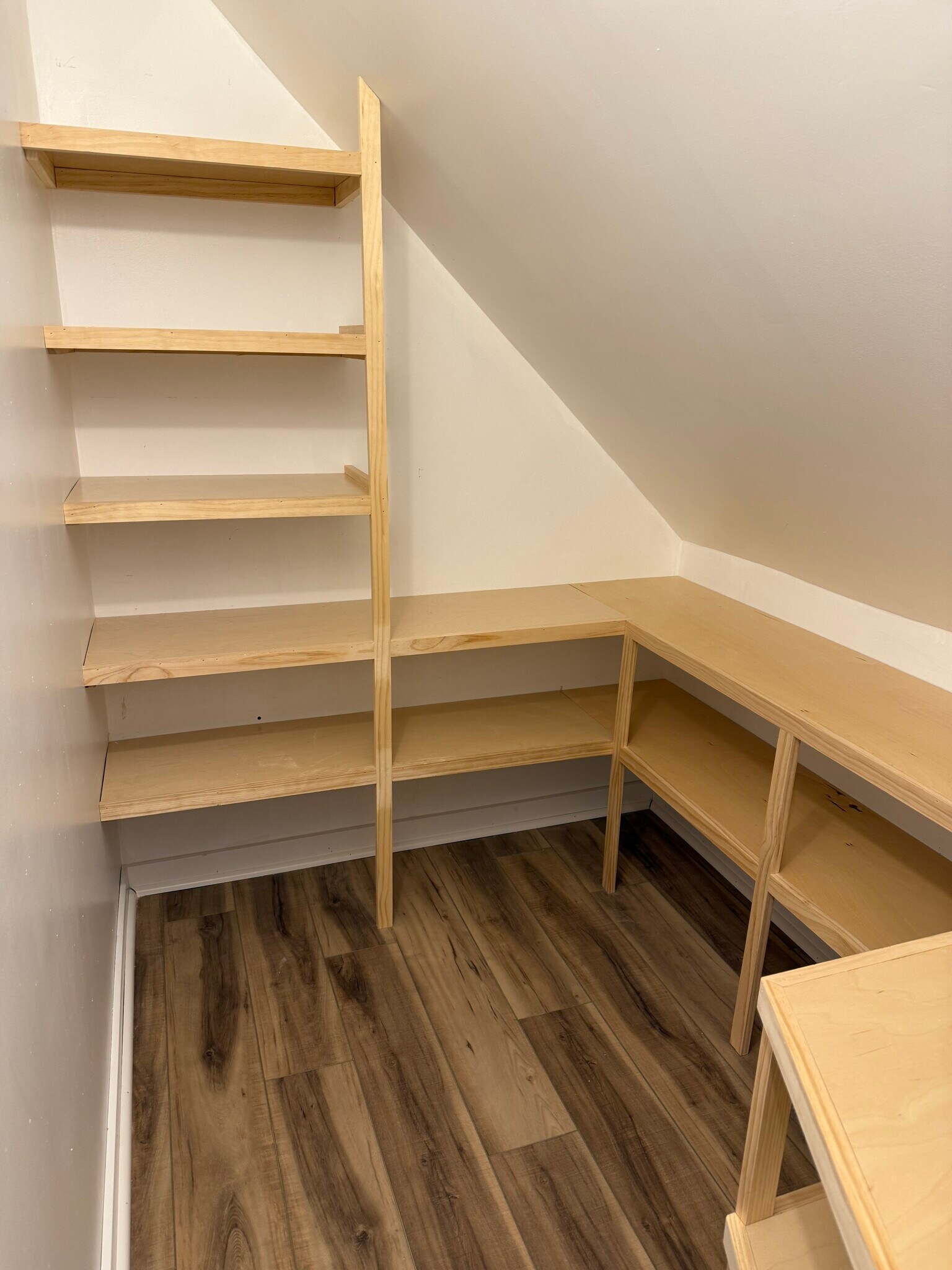 Beautiful walk in pantry - 377 Ellis St