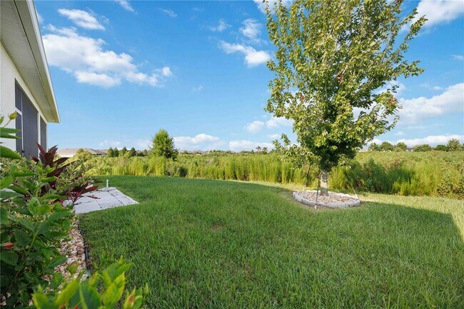 Building Photo - 3637 Mossy Limb Ct