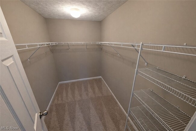 Building Photo - 32815 Rebecca Ln