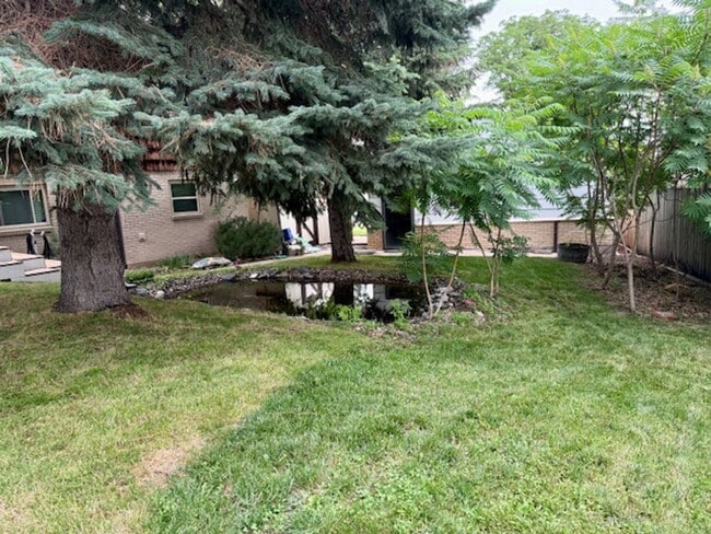 Building Photo - Park-like Yard, Updated Home