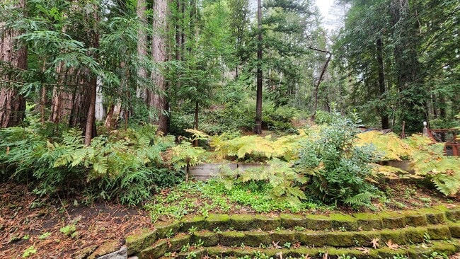 Building Photo - 50% off 1st months rent!! Beautiful Boulder Creek Redwood Home!