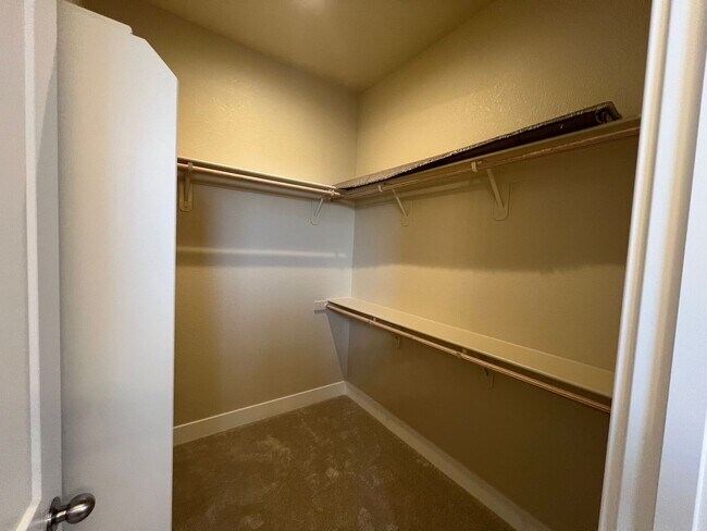 Building Photo - Brand new 3 bedroom single story home!