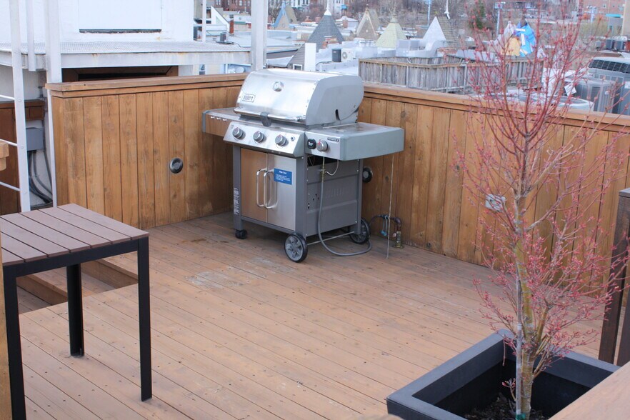 BBQ roof deck - 1731 Willard St NW