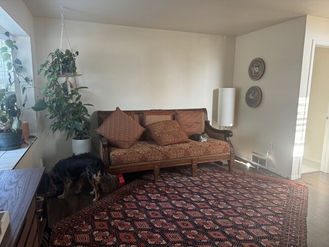 Living room - 300 Southridge Pl