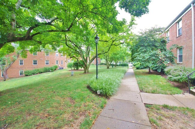 Building Photo - 2407 Arlington Blvd