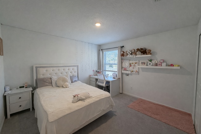 Building Photo - Modern New Construction Home in Central St. Augustine