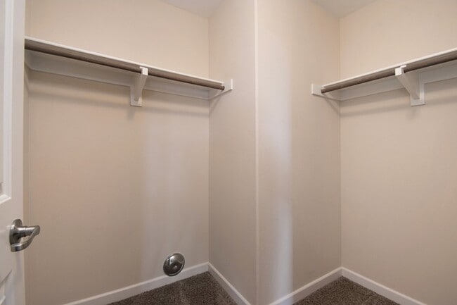 Building Photo - 6680 Canopy Ridge Ln