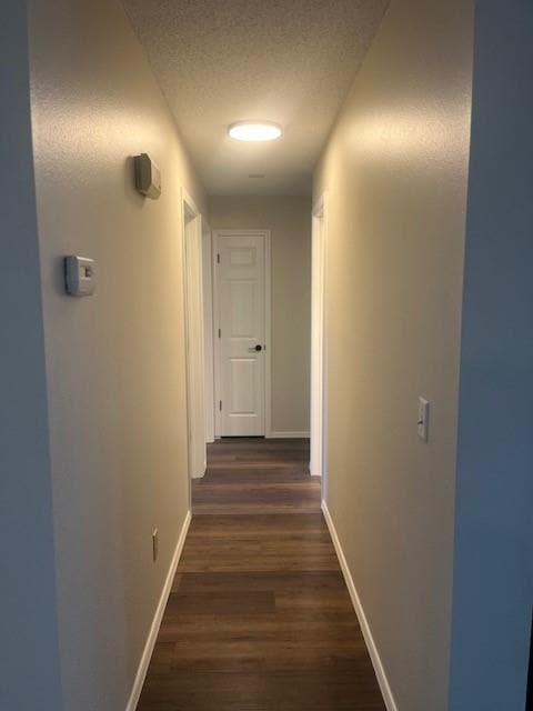 Building Photo - 904 N Oriole Ave