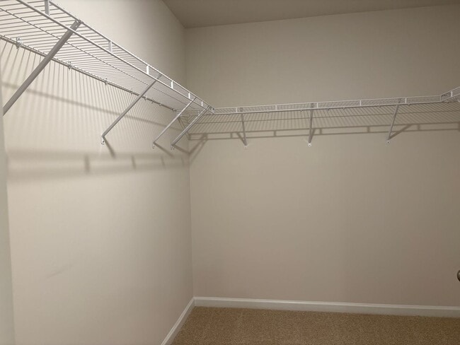 Building Photo - 4 Bedroom, 2 Bathroom House in Trinity!