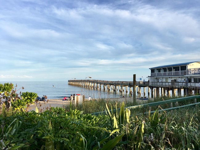 Building Photo - 3575 S Ocean Blvd
