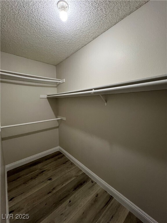 Building Photo - 1009 Willow Tree Dr