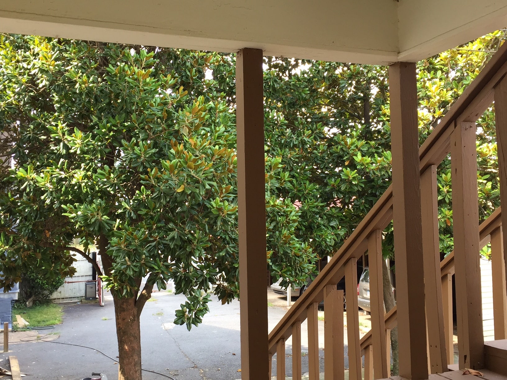Back Porch view - 916 Scott St