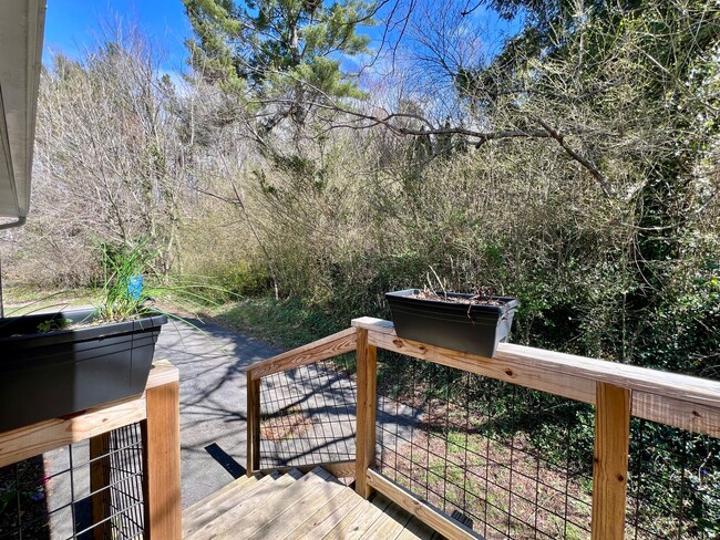 Building Photo - 3-Bed, 2-Bath home in N. Asheville!
