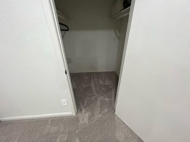 Building Photo - 3511 Alpine Cir