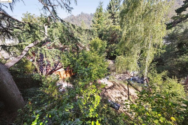 Building Photo - 4-Bedroom Gem with Forest Views and Separa...