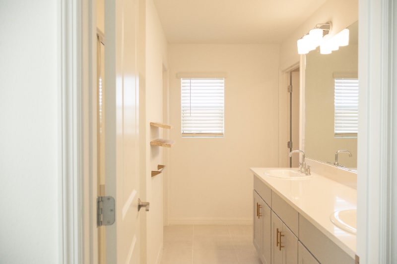 Building Photo - 6305 Milestone Lp